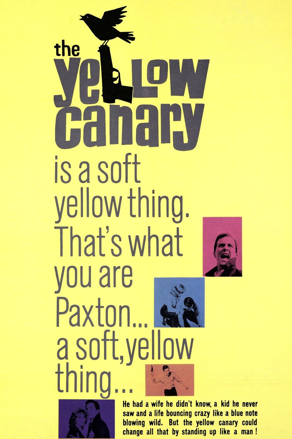 The Yellow Canary Pictures Rotten Tomatoes