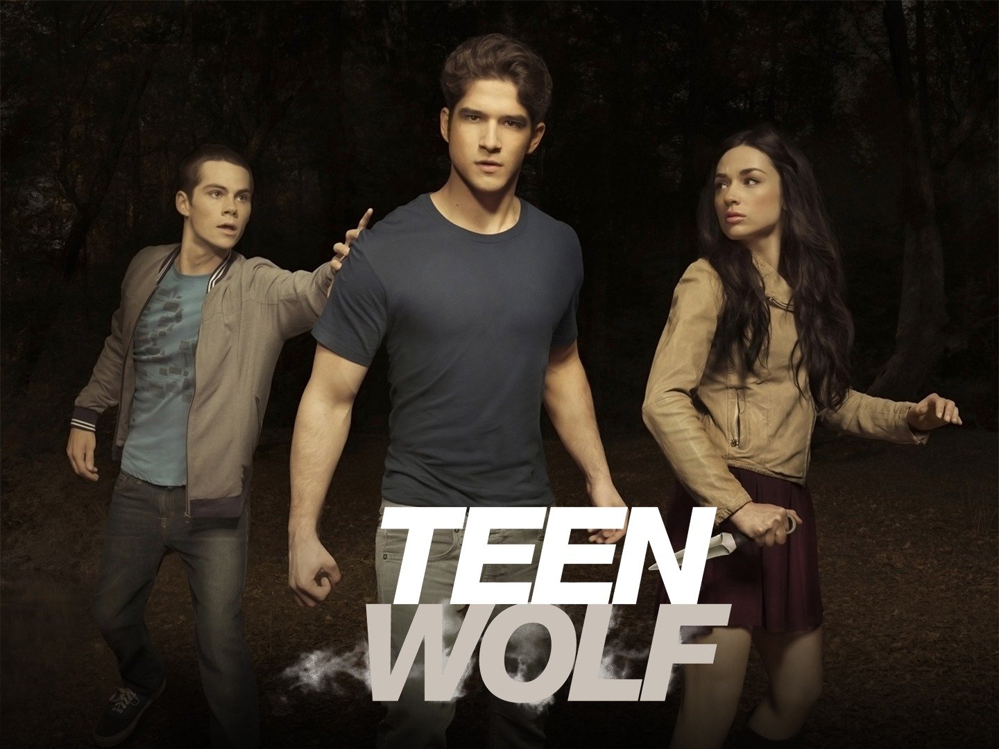 teen wolf season 1 poster