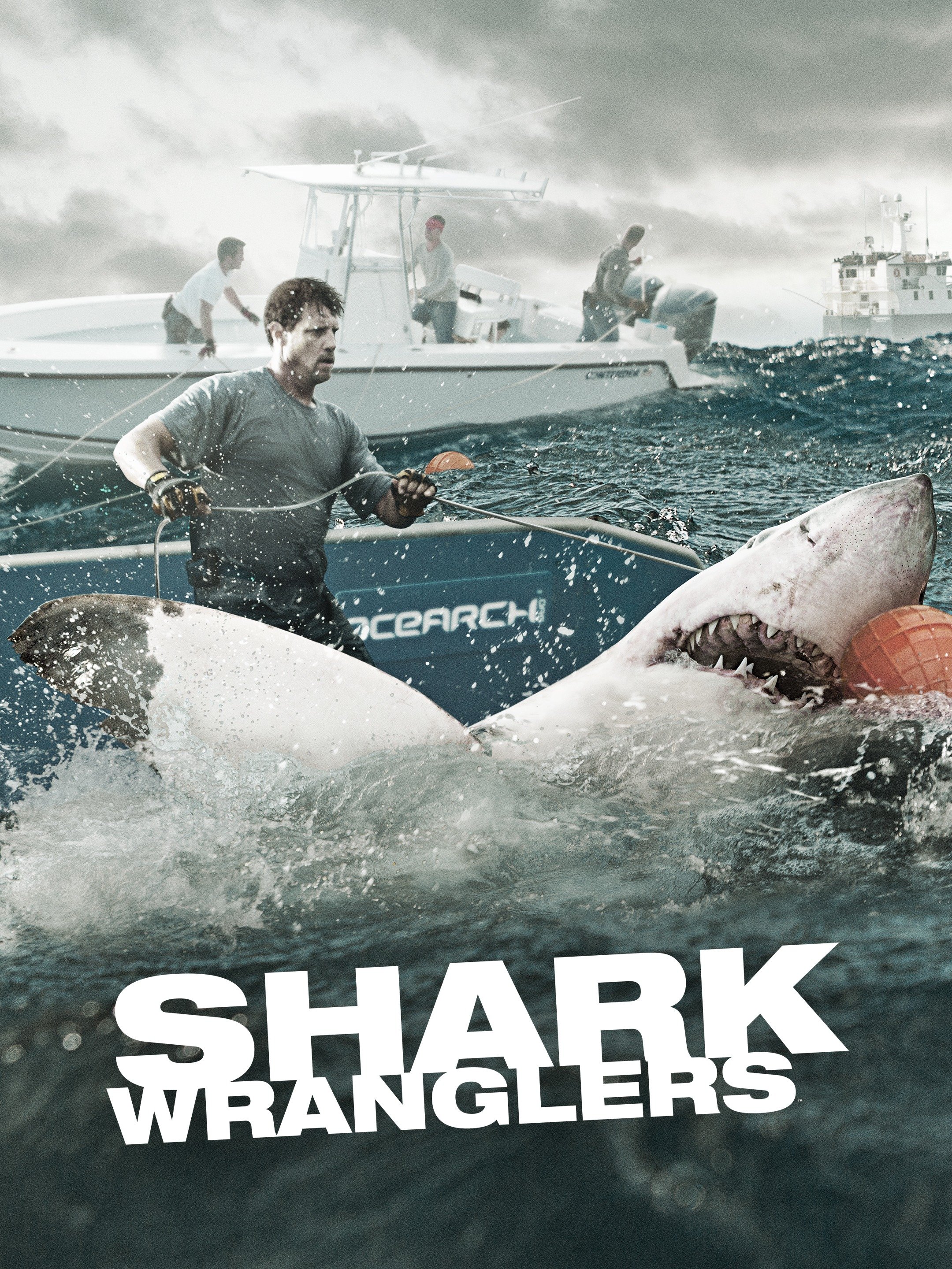 Shark Wranglers - Rotten Tomatoes