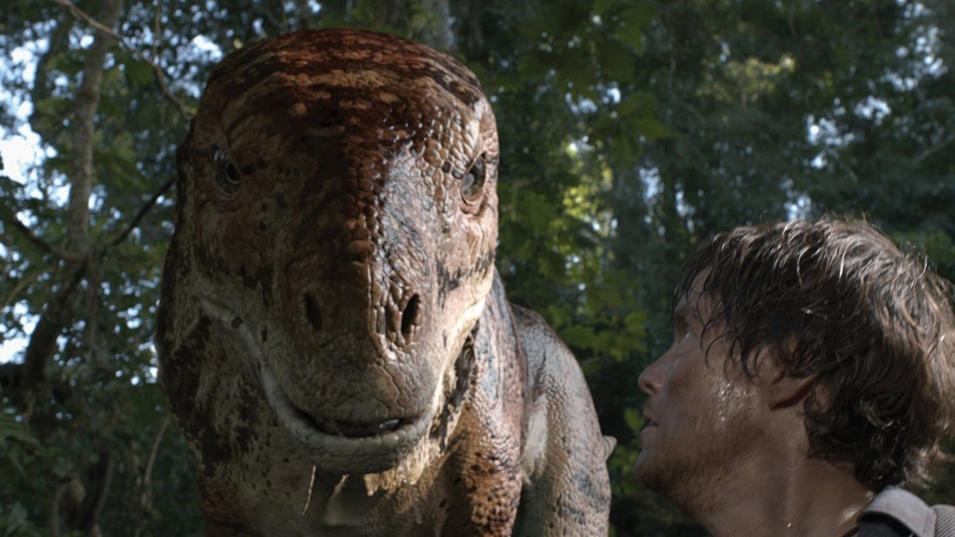- Trailers & Videos - Rotten Tomatoes