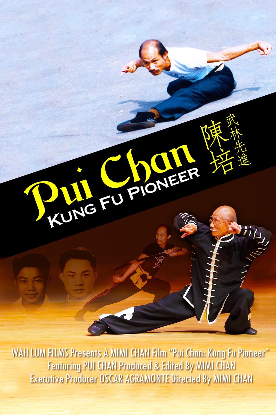 Pui Chan Kung Fu Pioneer Pictures Rotten Tomatoes
