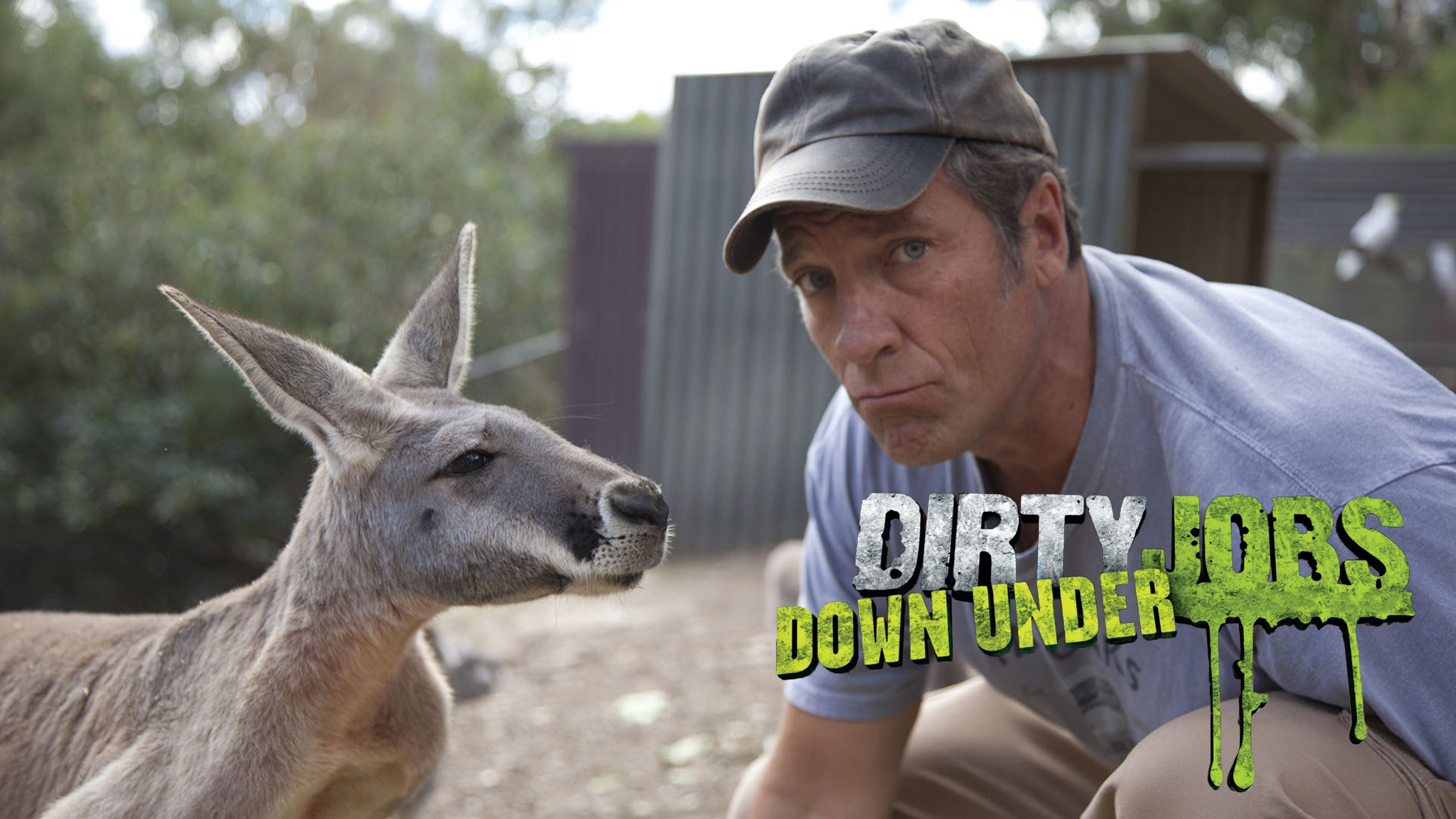 Dirty Jobs: Down Under - Rotten Tomatoes