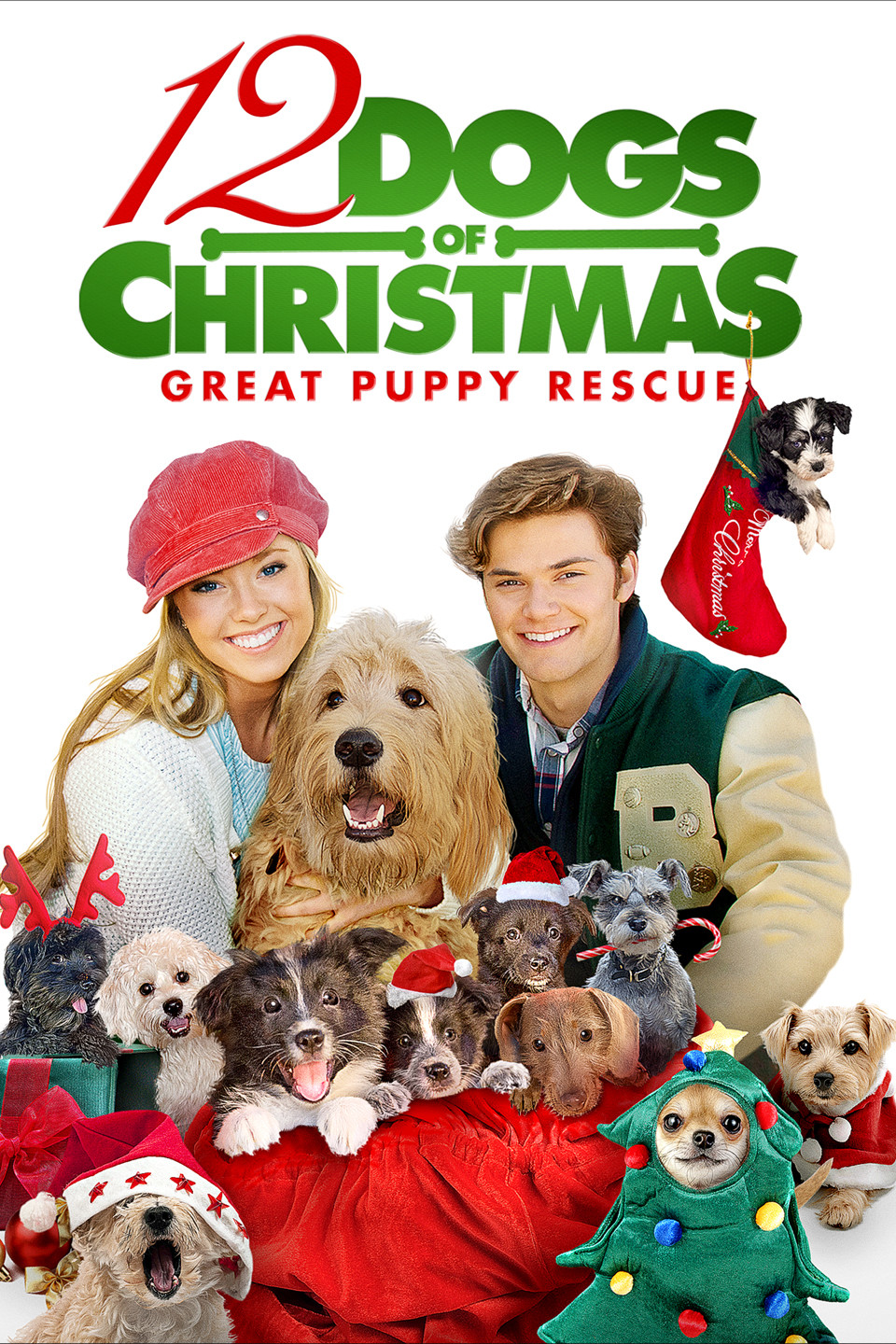 12 Dogs Of Christmas Great Puppy Rescue Trailer