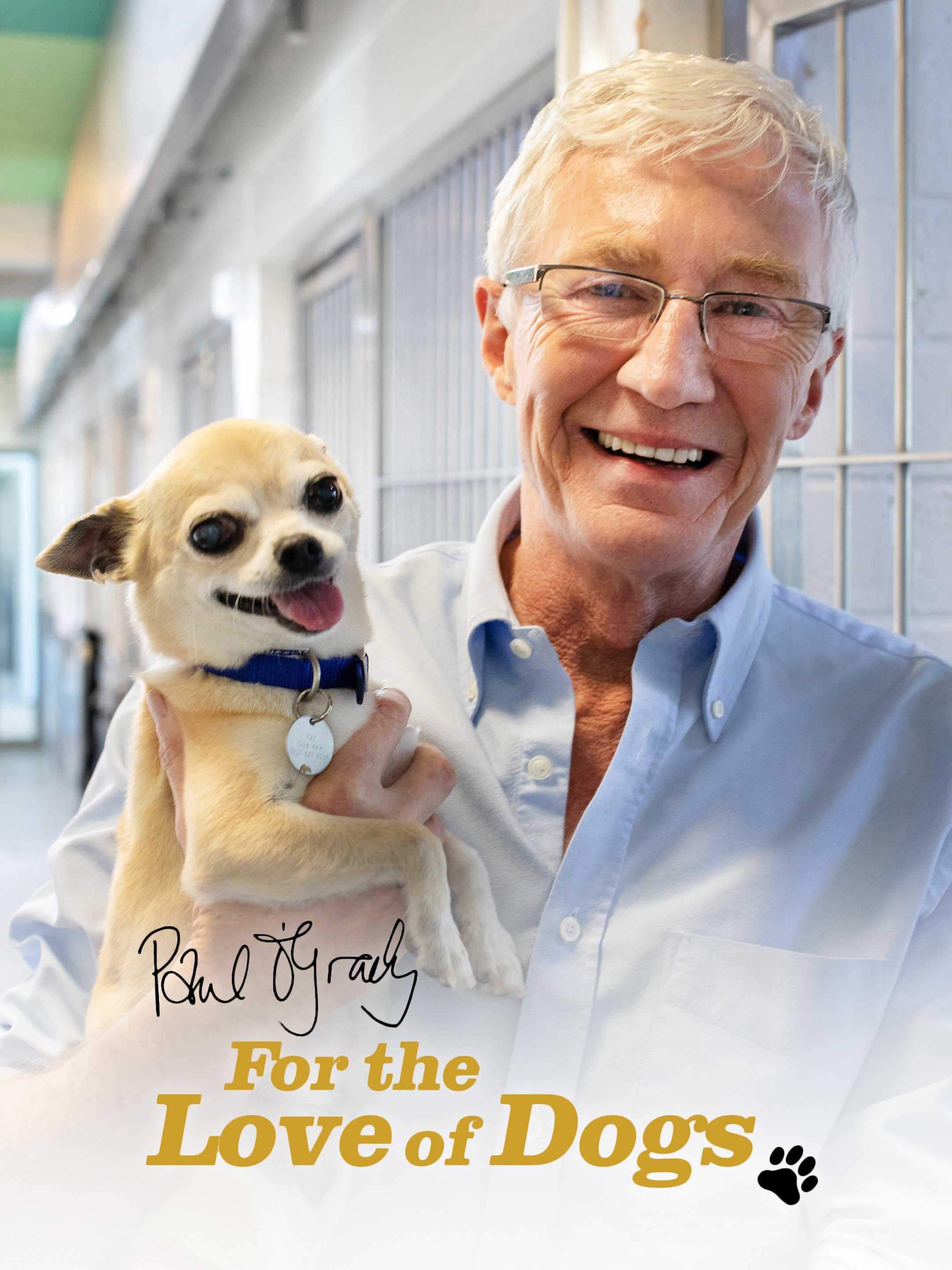 Paul O'Grady For the Love of Dogs Rotten Tomatoes