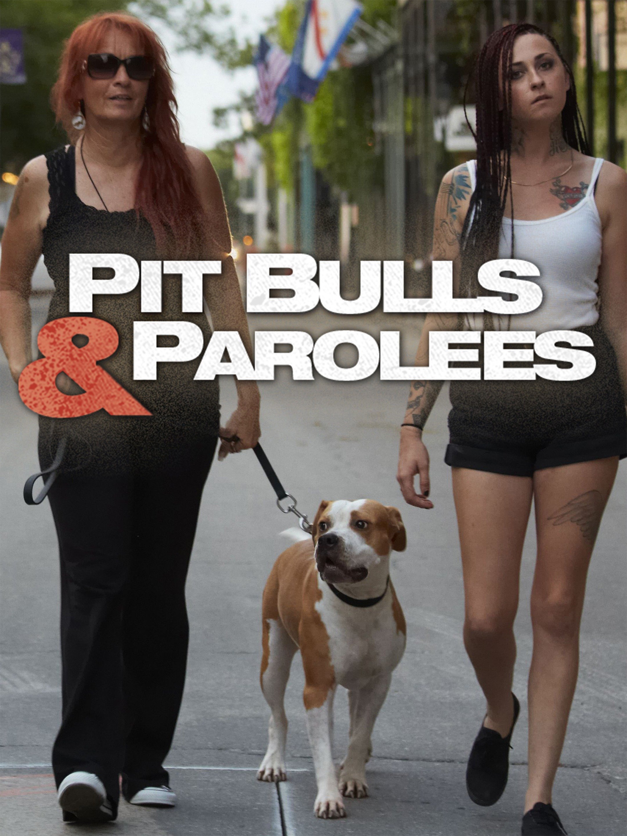 Prime Video: Pit Bulls & Parolees - Season 7