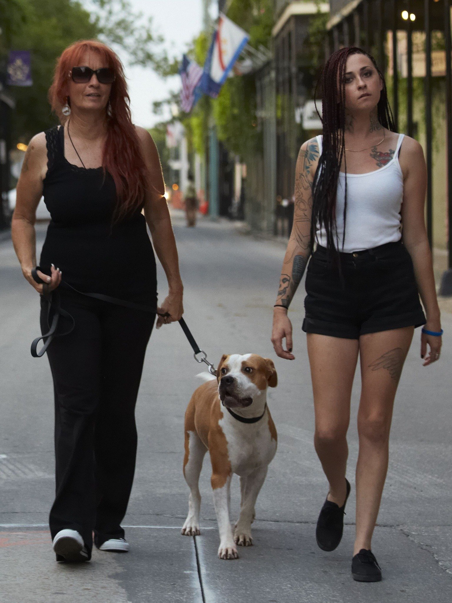 Is Aj From Pitbulls And Parolees Still In Jail 60 - kjvihw8