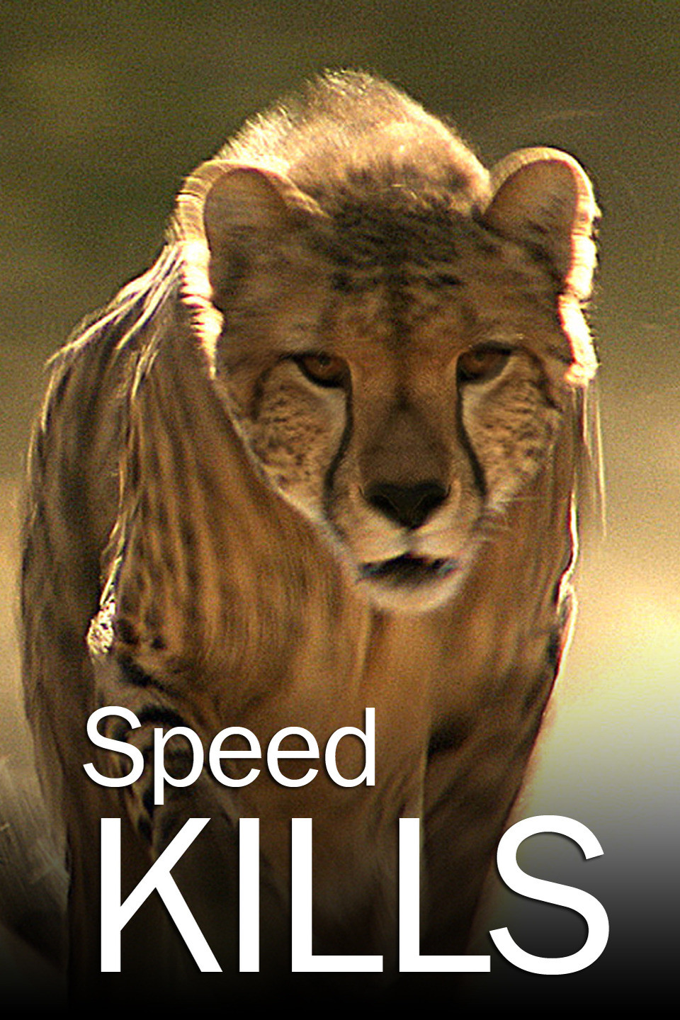 Speed kills rotten tomatoes
