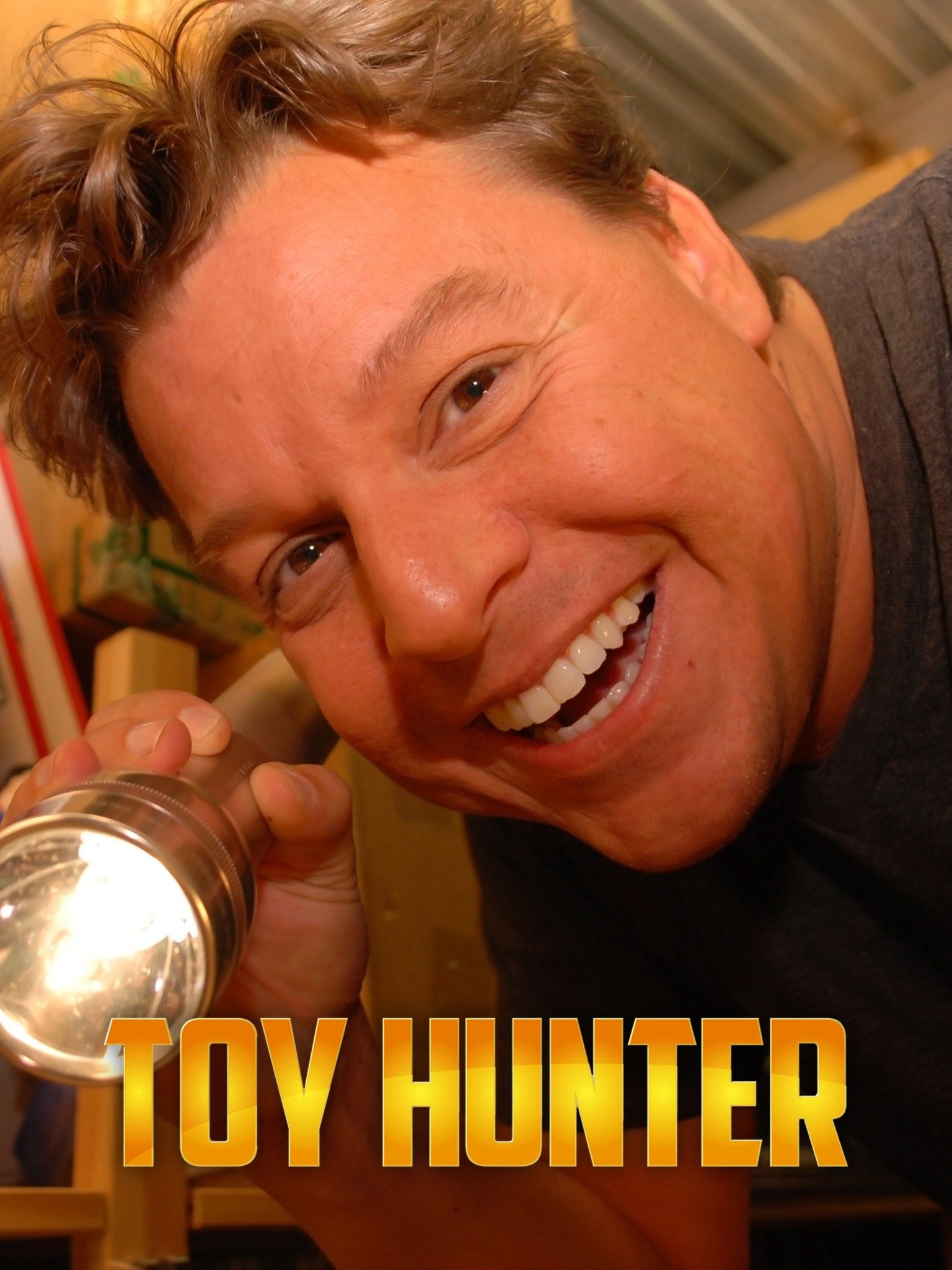 Toy Hunter Rotten Tomatoes