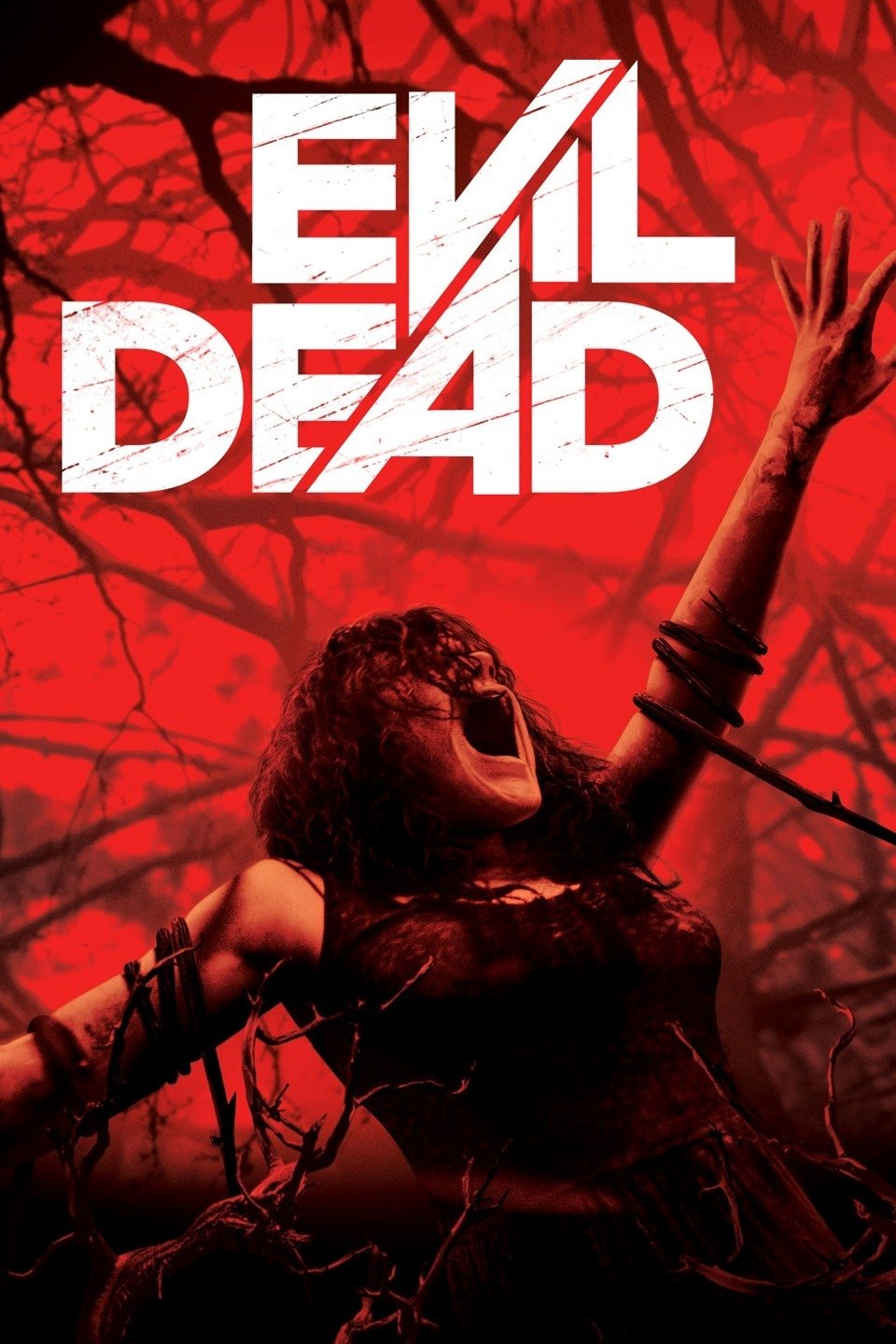 Download Evil Dead (2013) Dual Audio {Hindi-English} 480p | 720p | 1080p ￼