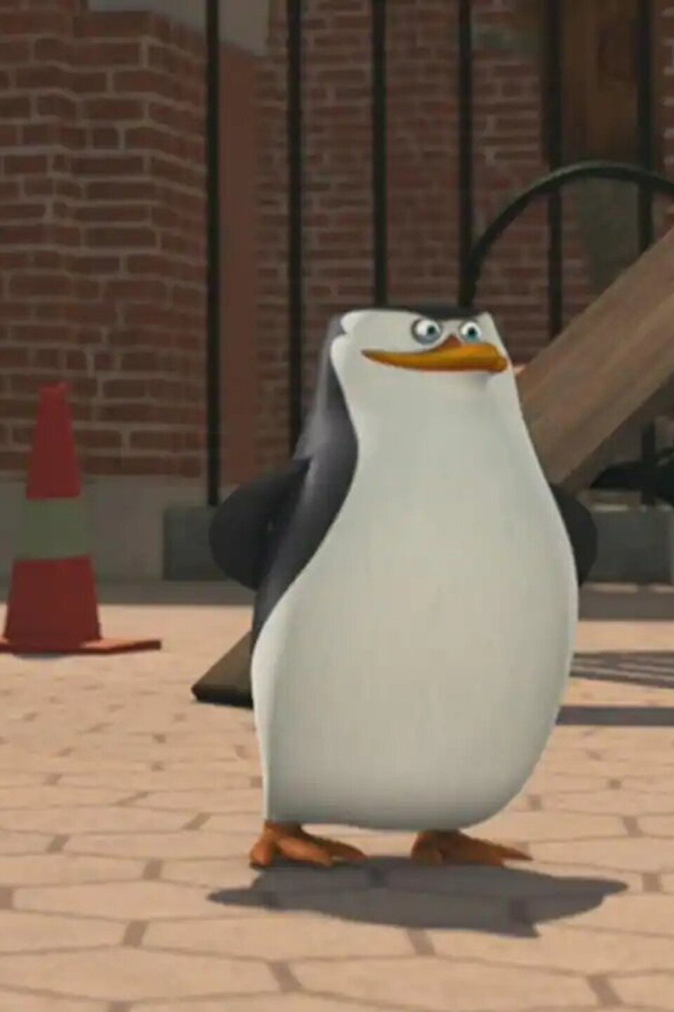 Penguins Of Madagascar Skipper Makes Perfect