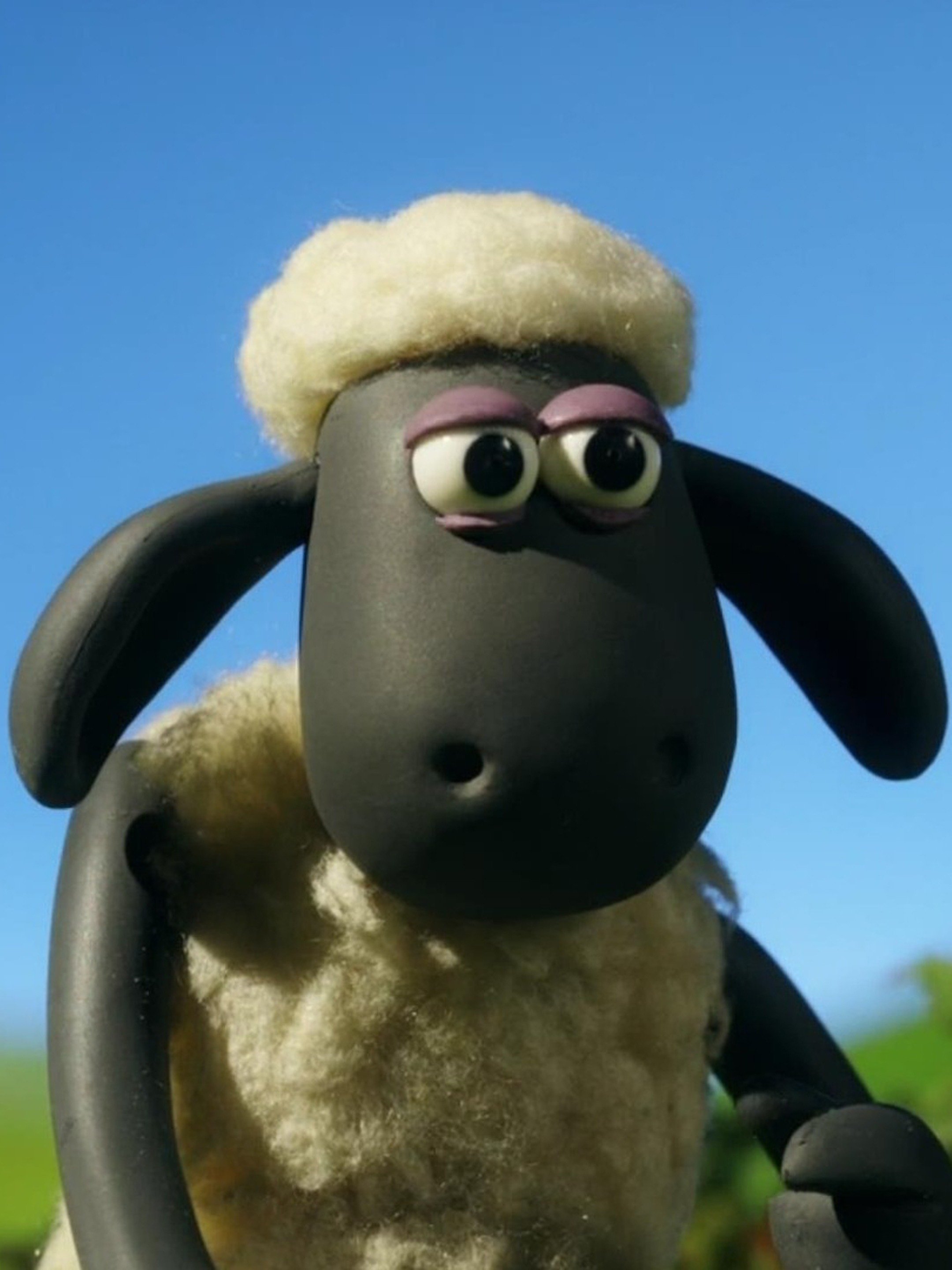 The Stand Off Pictures Rotten Tomatoes