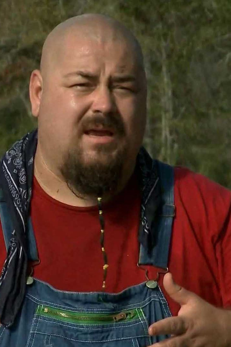 Cannonball Run Pictures Rotten Tomatoes