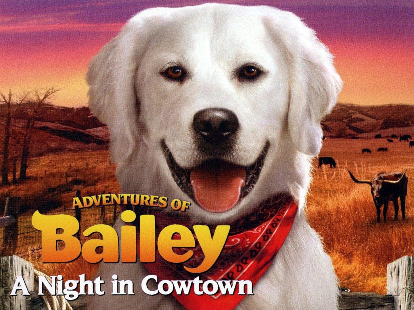Adventures Of Bailey A Night In Cowtown 2013 Adventures of Bailey: A Night in Cowtown (2013) - Rotten Tomatoes