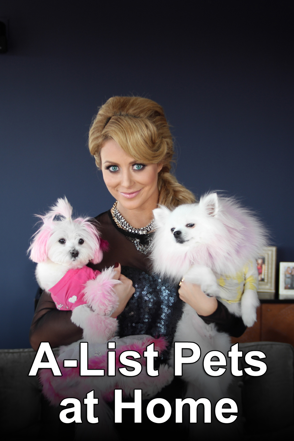 A List Pets At Home Rotten Tomatoes